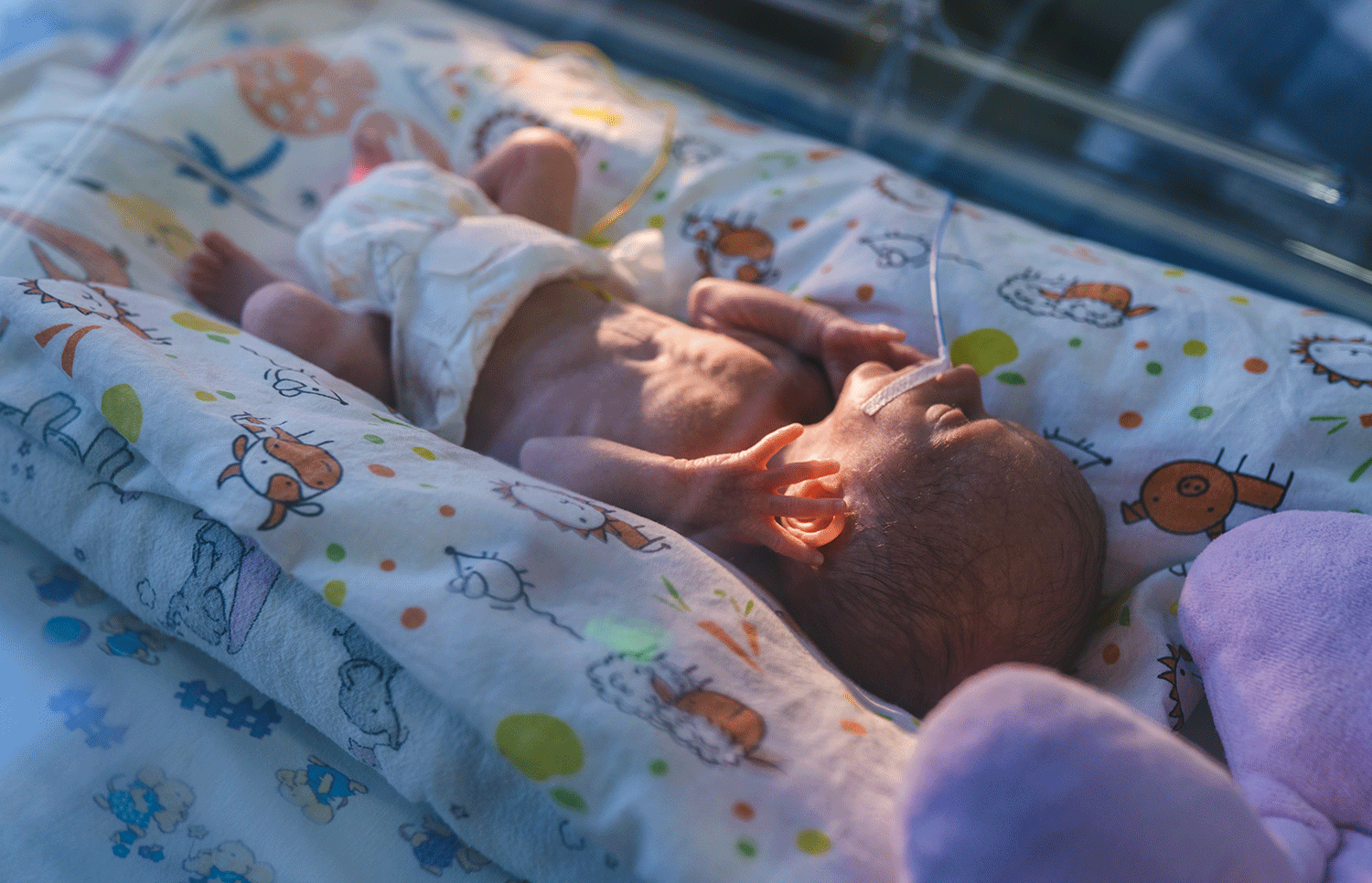 Pré-natal e prematuridade. Bebê na UTI neonatal.